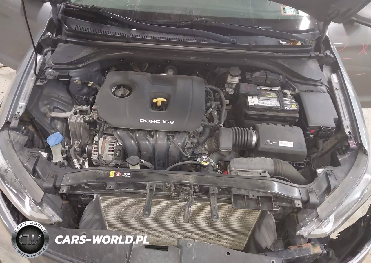 2017 Hyundai Elantra Limited VIN:KMHD84LF9HU291146 - 10
