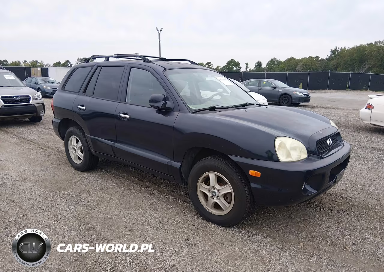 2004 Hyundai Santa Fe Gls-Lx VIN:KM8SC13E24U600591 - 1