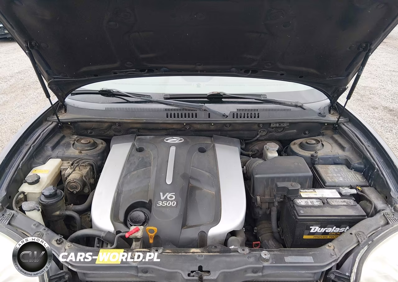 2004 Hyundai Santa Fe Gls-Lx VIN:KM8SC13E24U600591 - 10