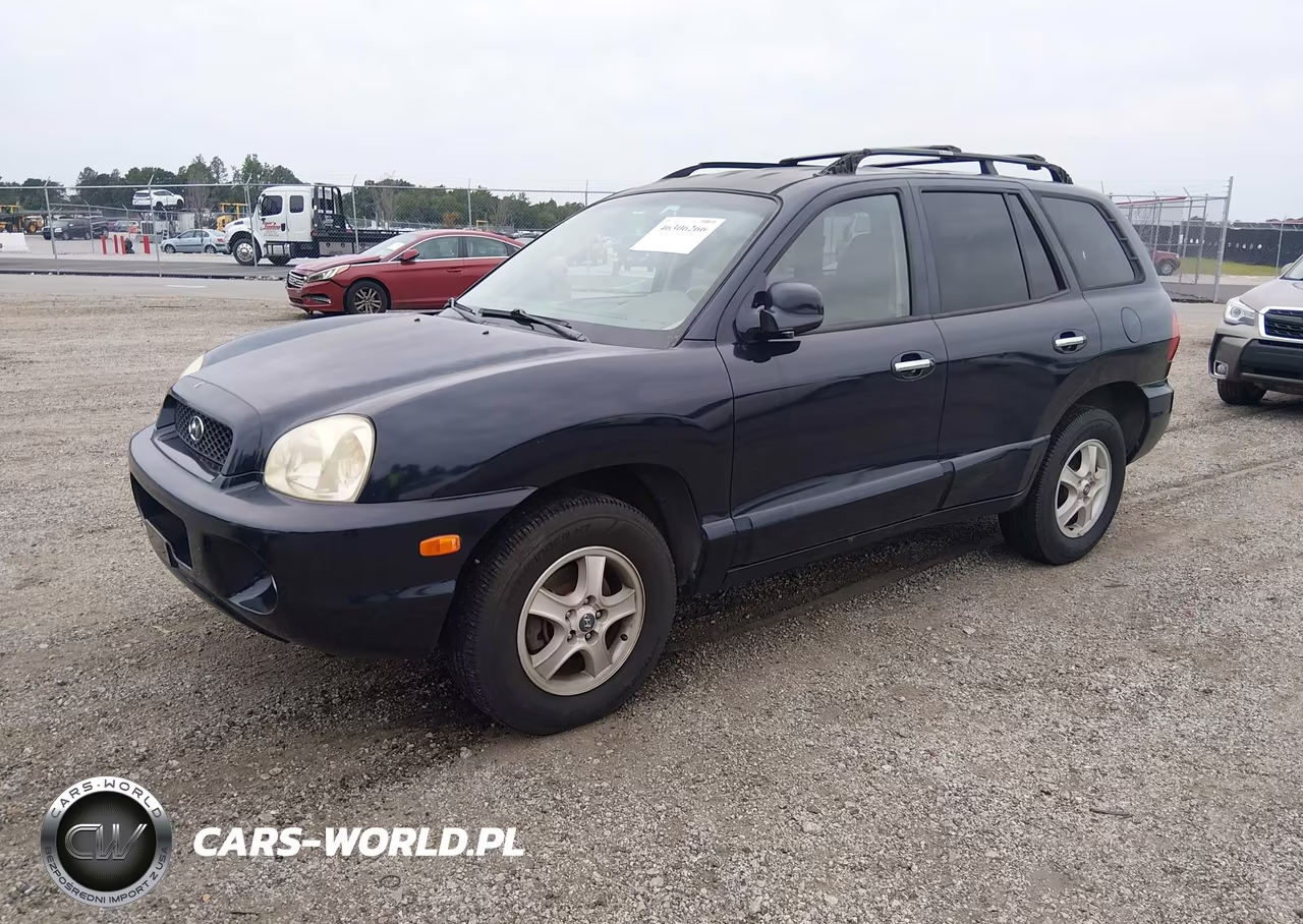 2004 Hyundai Santa Fe Gls-Lx VIN:KM8SC13E24U600591 - 2