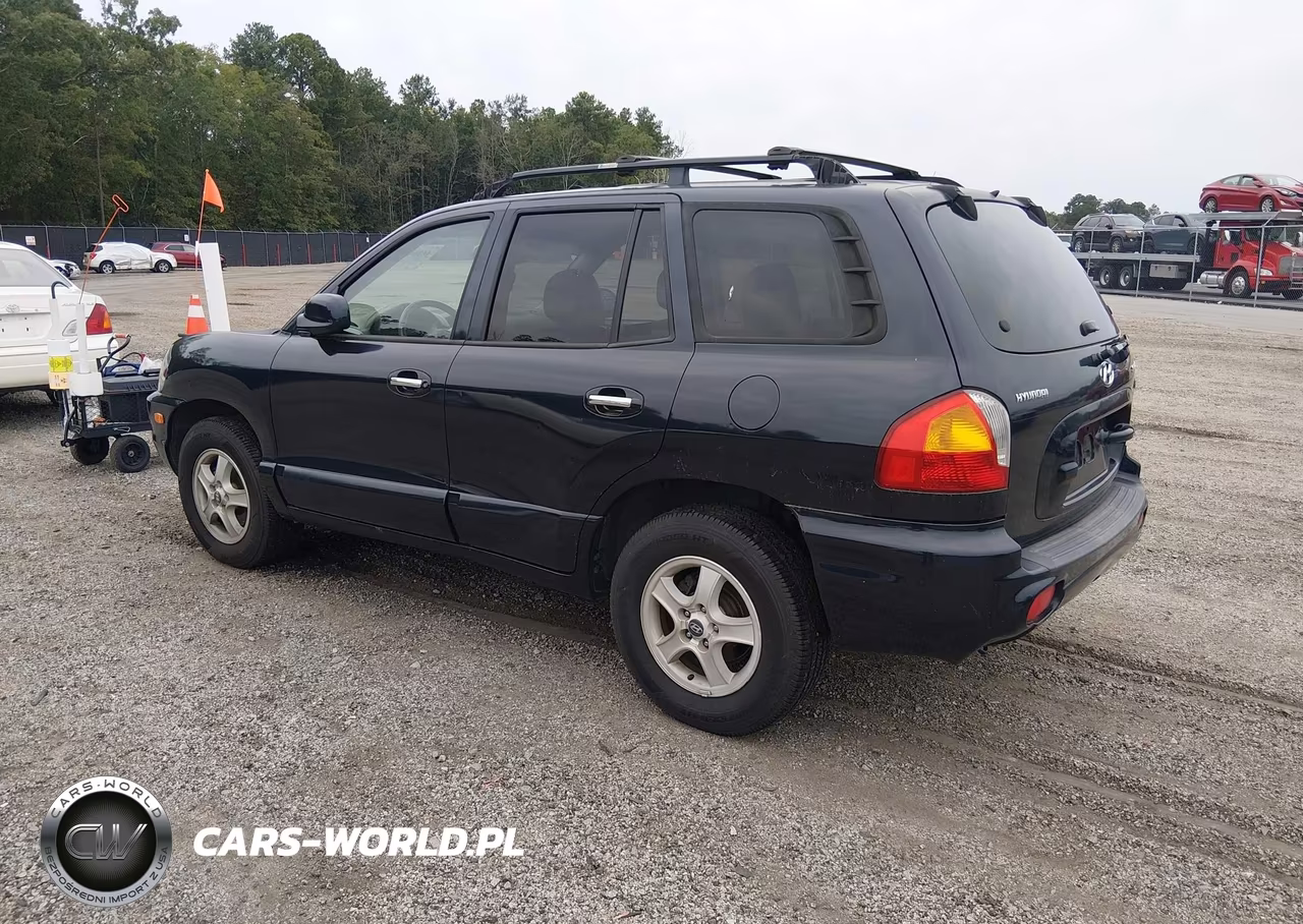 2004 Hyundai Santa Fe Gls-Lx VIN:KM8SC13E24U600591 - 3