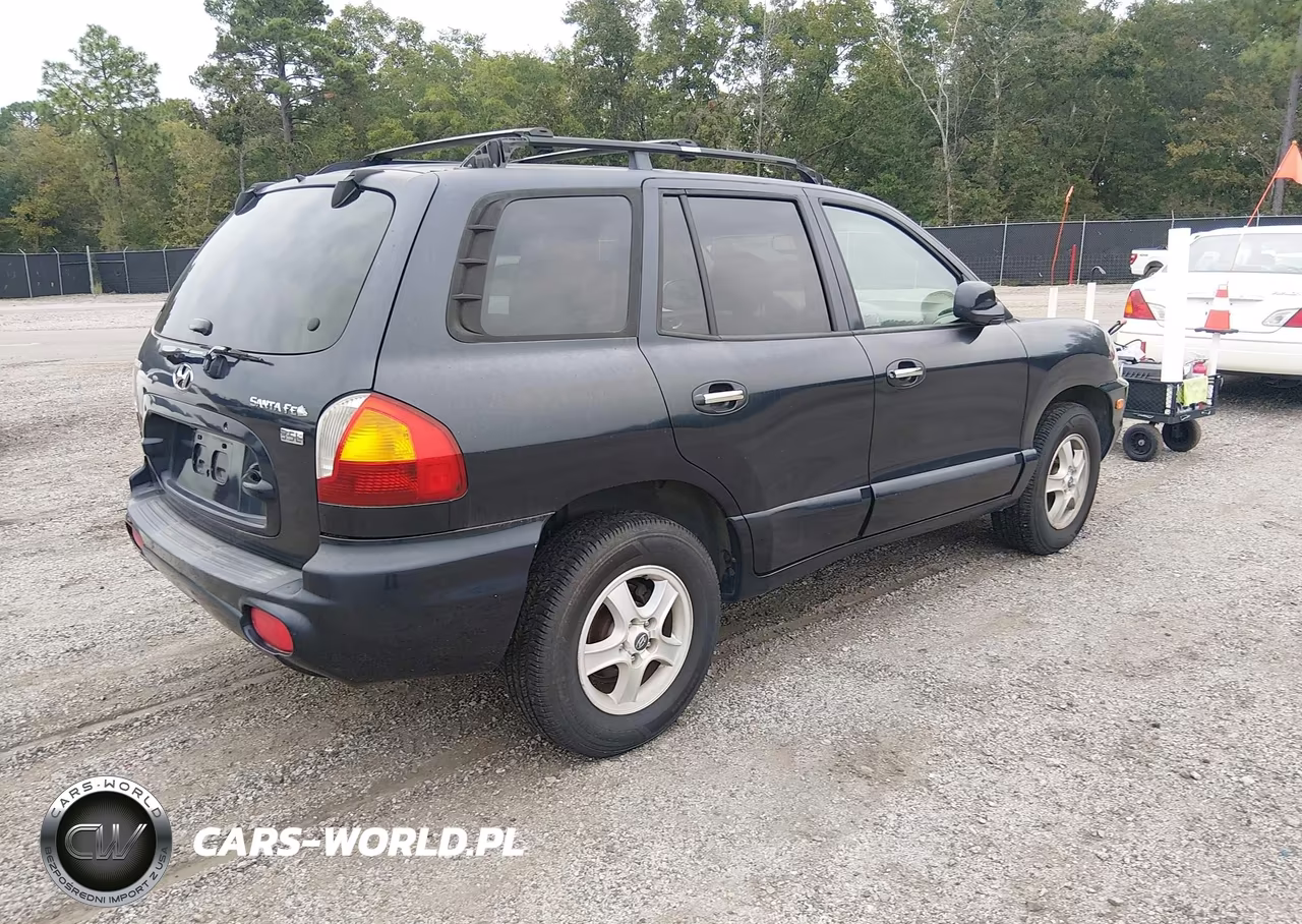2004 Hyundai Santa Fe Gls-Lx VIN:KM8SC13E24U600591 - 4