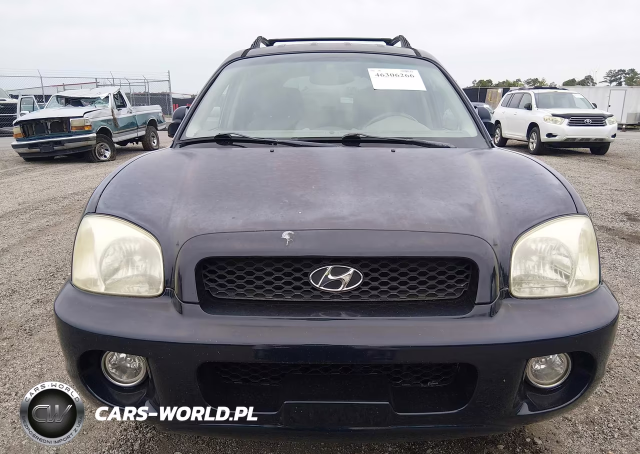 2004 Hyundai Santa Fe Gls-Lx VIN:KM8SC13E24U600591 - 6