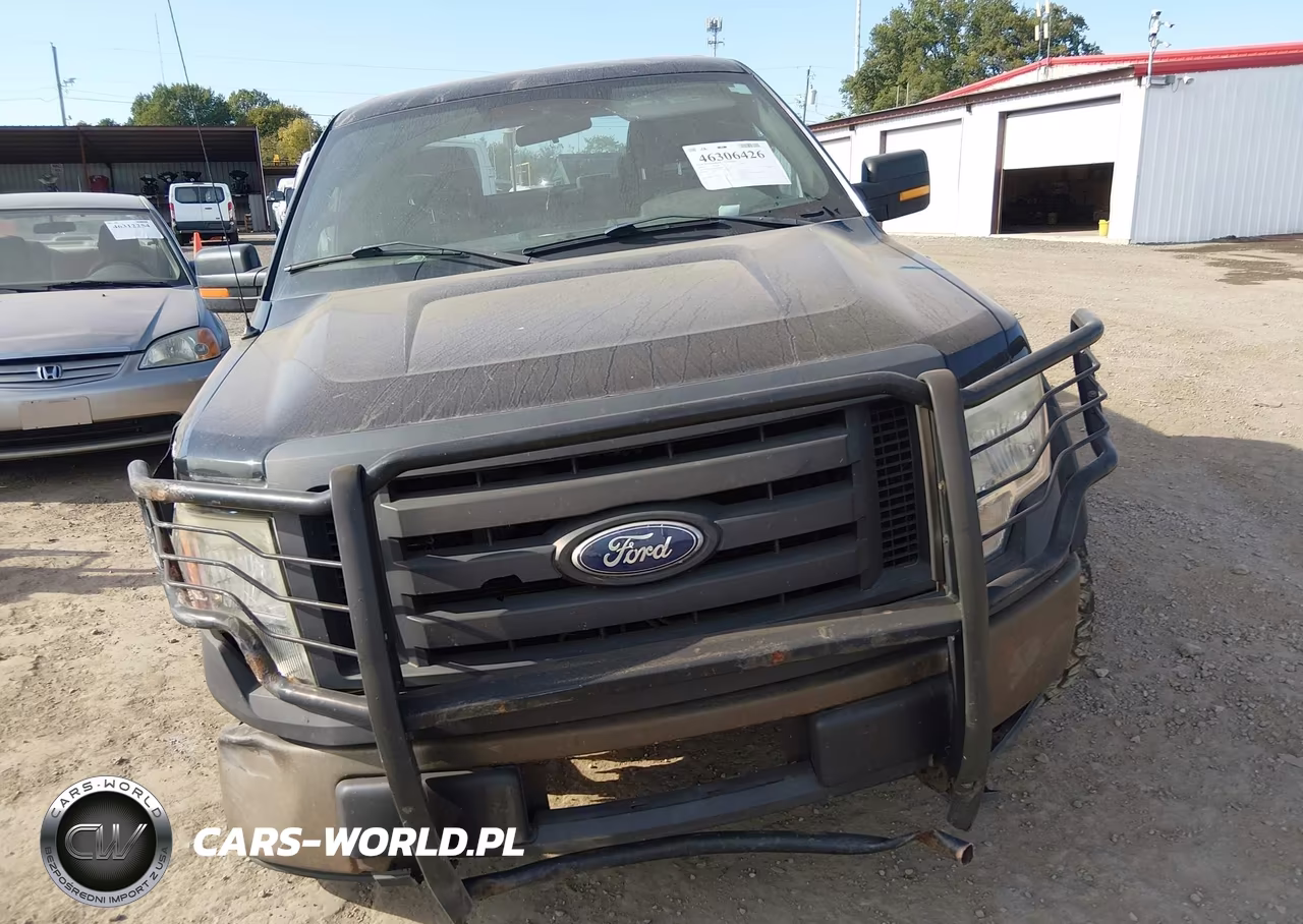 2009 Ford F-150 Xl-Xlt VIN:1FTRW12W49FB47929 - 13