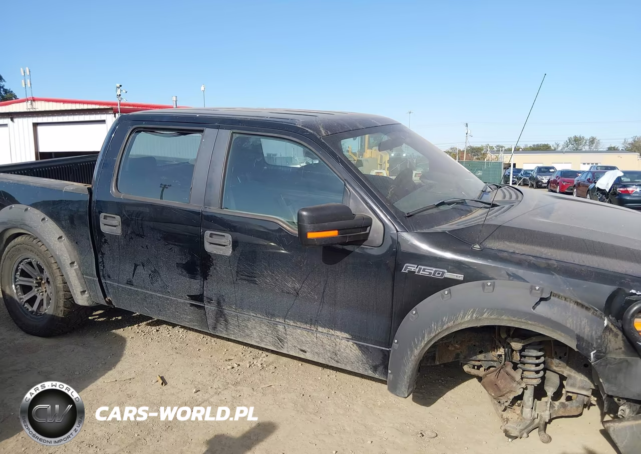 2009 Ford F-150 Xl-Xlt VIN:1FTRW12W49FB47929 - 14
