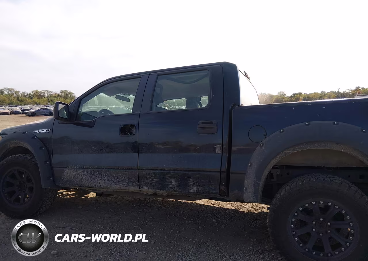 2009 Ford F-150 Xl-Xlt VIN:1FTRW12W49FB47929 - 15
