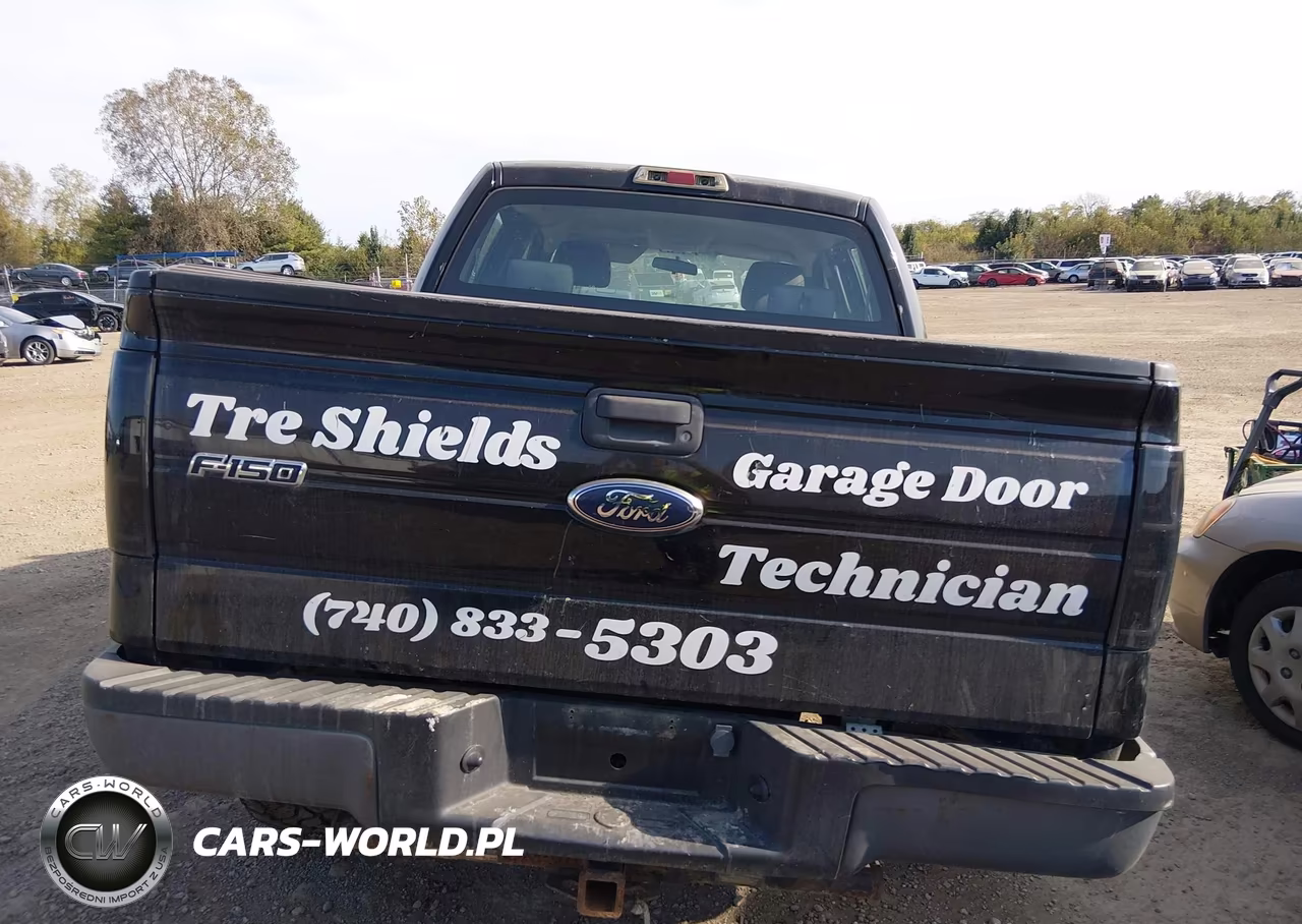 2009 Ford F-150 Xl-Xlt VIN:1FTRW12W49FB47929 - 17