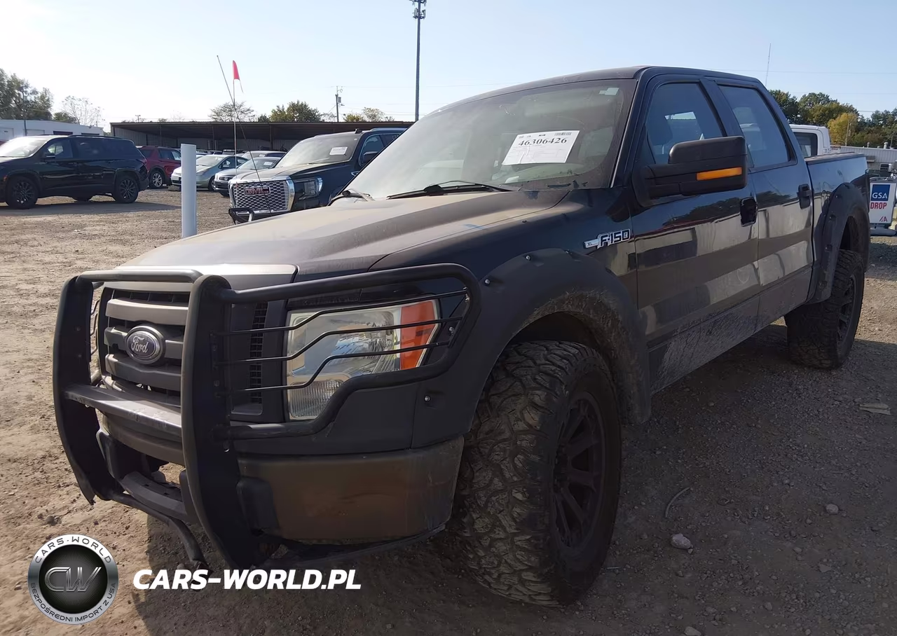 2009 Ford F-150 Xl-Xlt VIN:1FTRW12W49FB47929 - 2