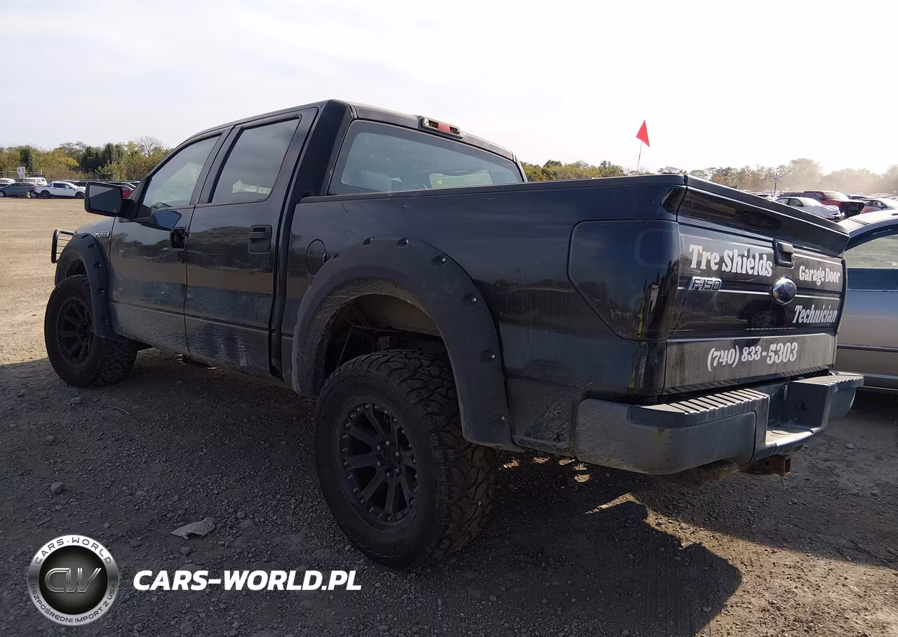 2009 Ford F-150 Xl-Xlt VIN:1FTRW12W49FB47929 - 3