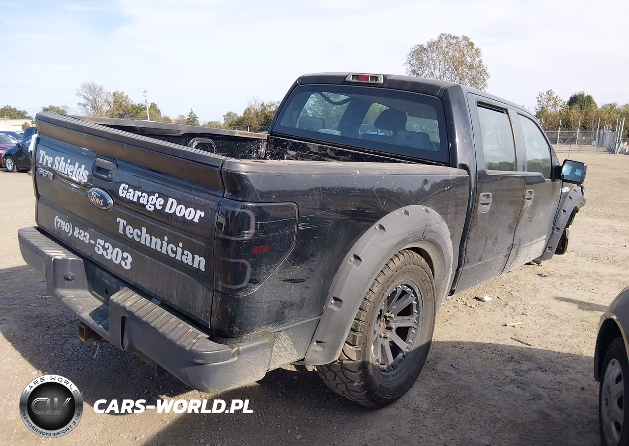 2009 Ford F-150 Xl-Xlt VIN:1FTRW12W49FB47929 - 4