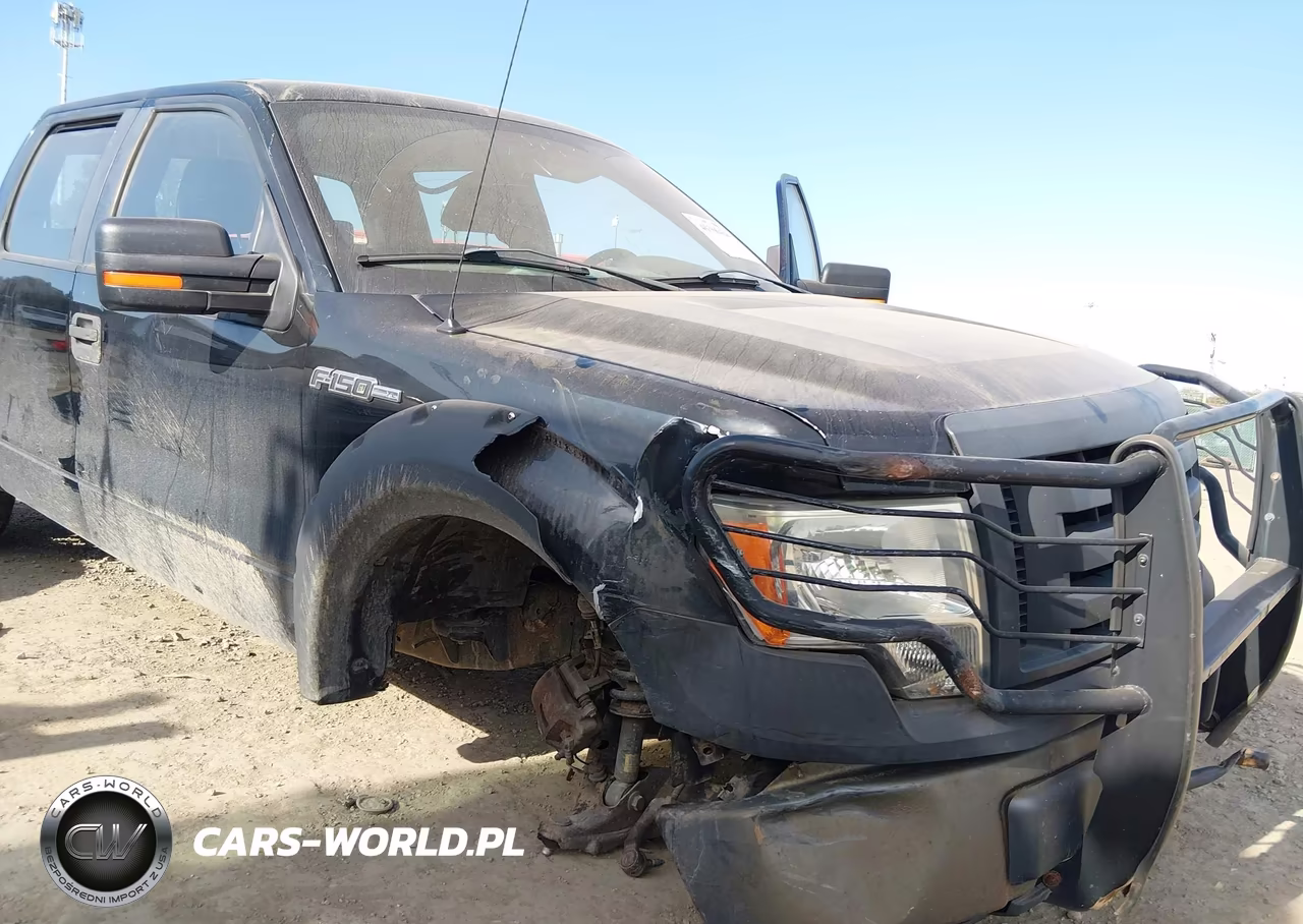 2009 Ford F-150 Xl-Xlt VIN:1FTRW12W49FB47929 - 6