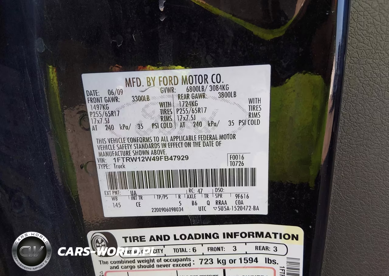 2009 Ford F-150 Xl-Xlt VIN:1FTRW12W49FB47929 - 9