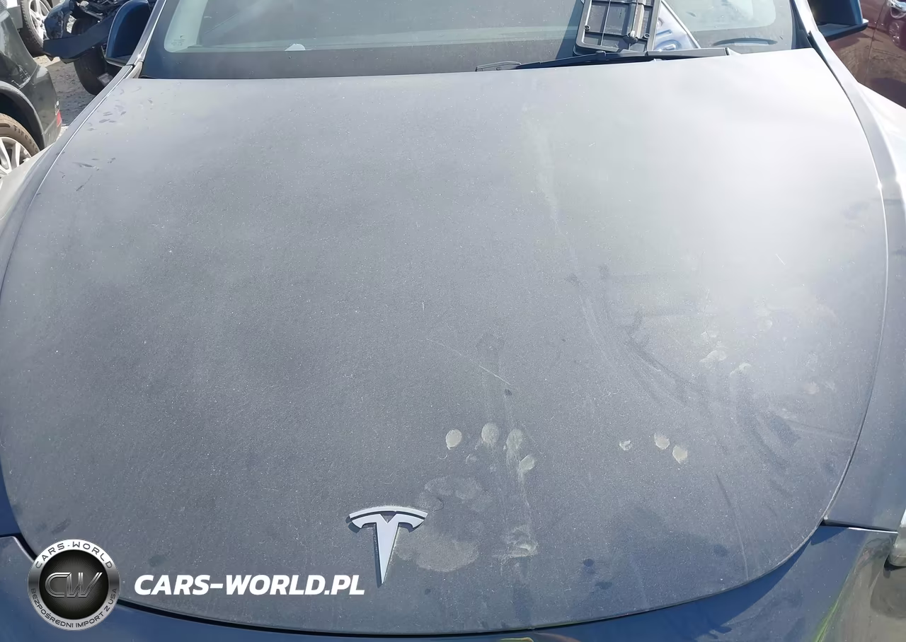 2022 Tesla Model Y Long Range Dual Motor All-Wheel Drive VIN:7SAYGDEE3NA009827 - 10