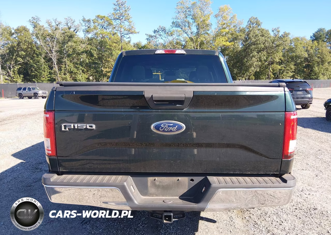 2016 Ford F-150 Xlt VIN:1FTEW1CP5GFA88716 - 16