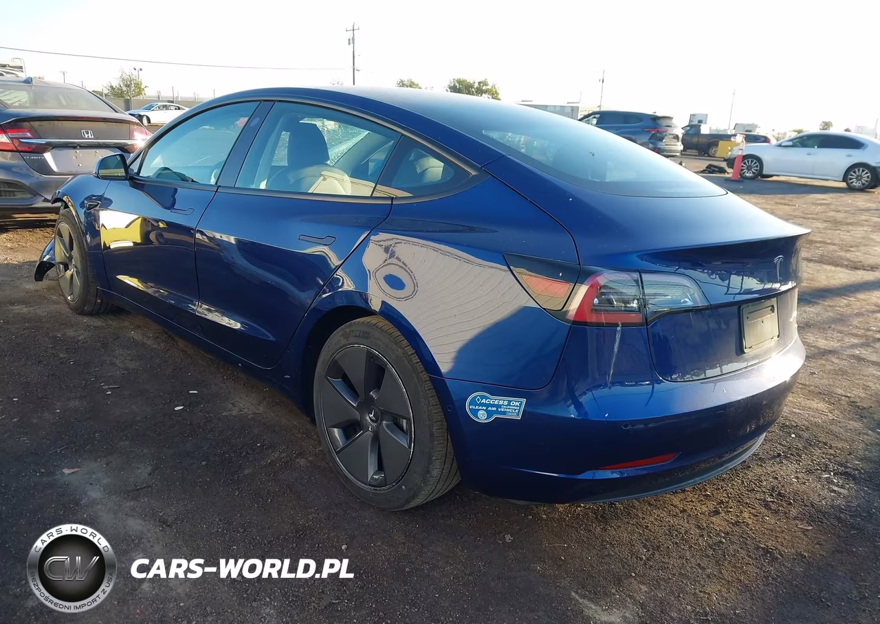 2021 Tesla Model 3 Long Range Dual Motor All-Wheel Drive VIN:5YJ3E1EB7MF999013 - 3