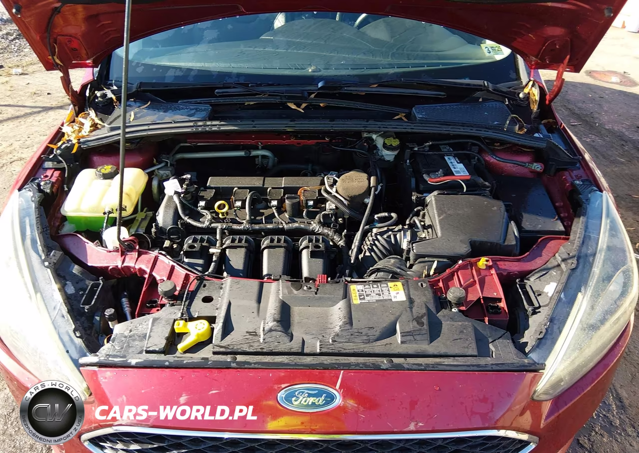 2015 Ford Focus Se VIN:1FADP3K27FL373501 - 10
