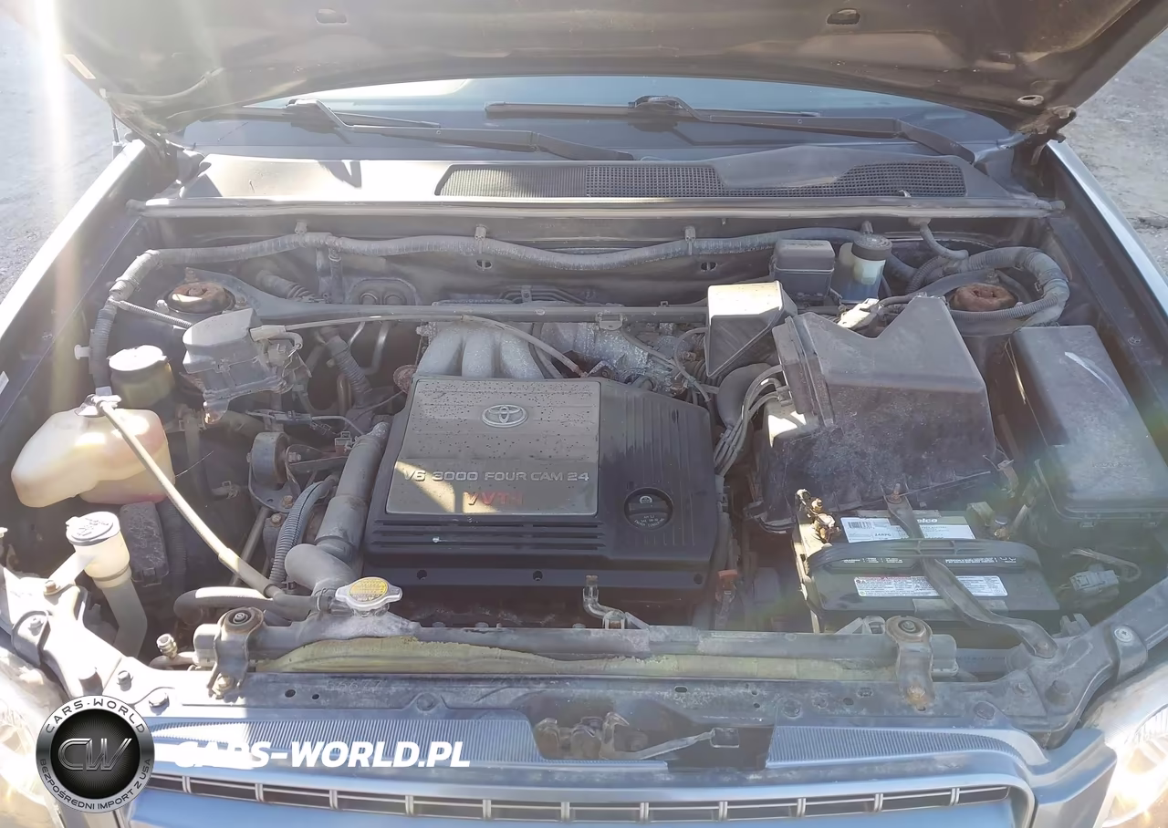 2001 Toyota Highlander V6 VIN:JTEHF21A410021726 - 10
