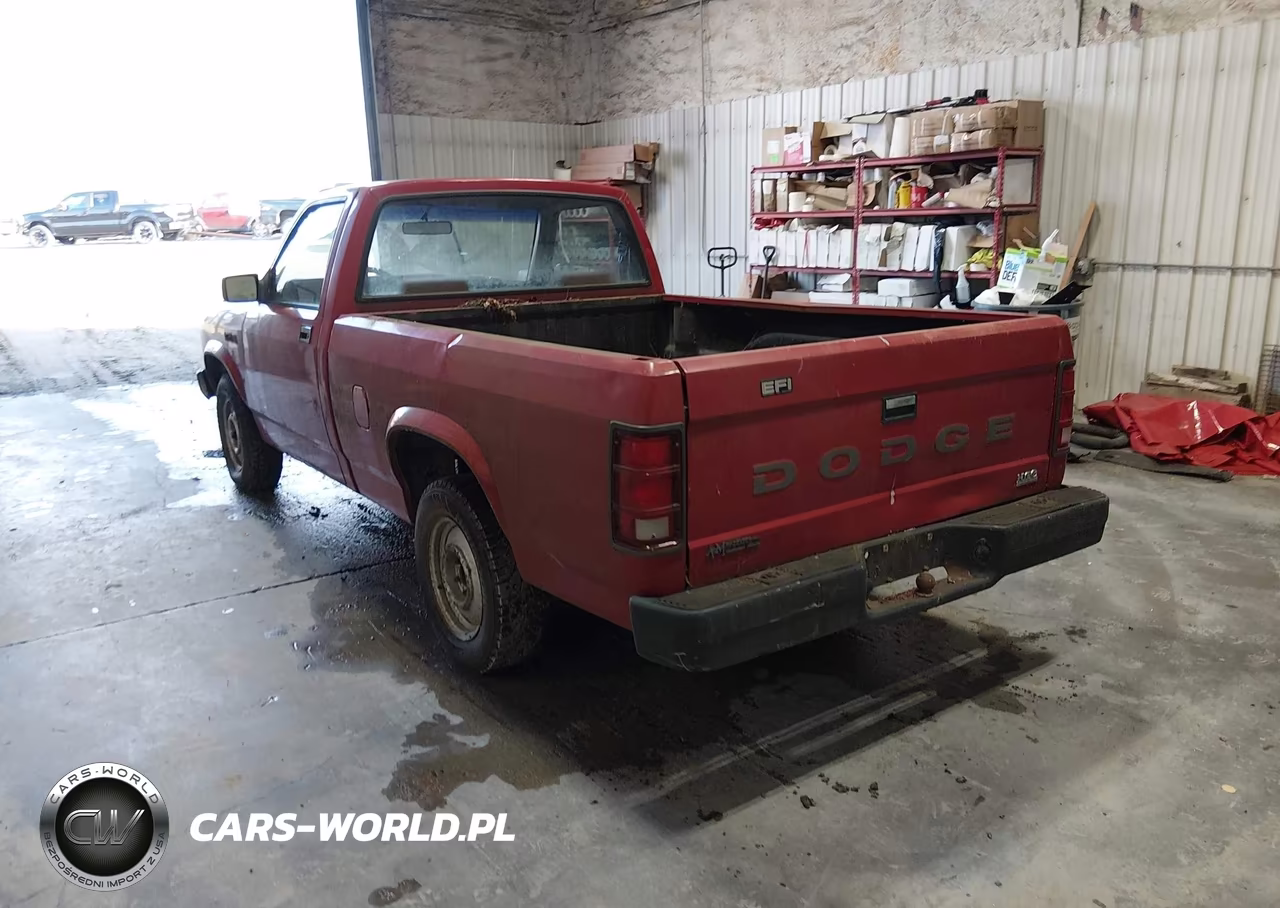1990 Dodge Dakota VIN:1B7FL26G7LS642161 - 3