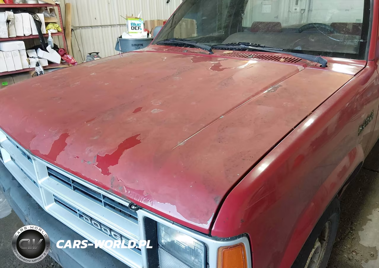 1990 Dodge Dakota VIN:1B7FL26G7LS642161 - 6