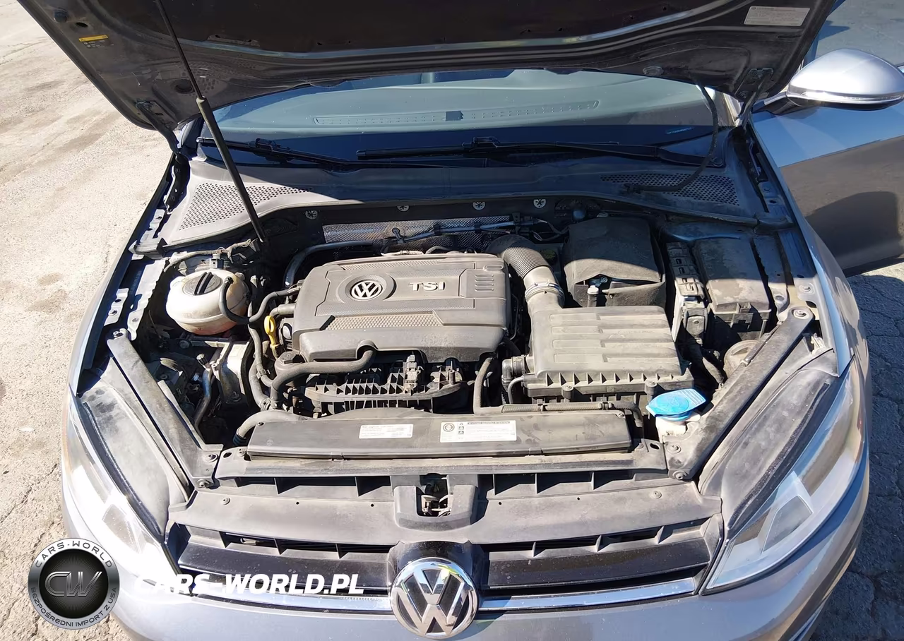 2017 Volkswagen Golf Sportwagen Tsi S-Tsi Se-Tsi Sel VIN:3VWC17AU5HM507177 - 10