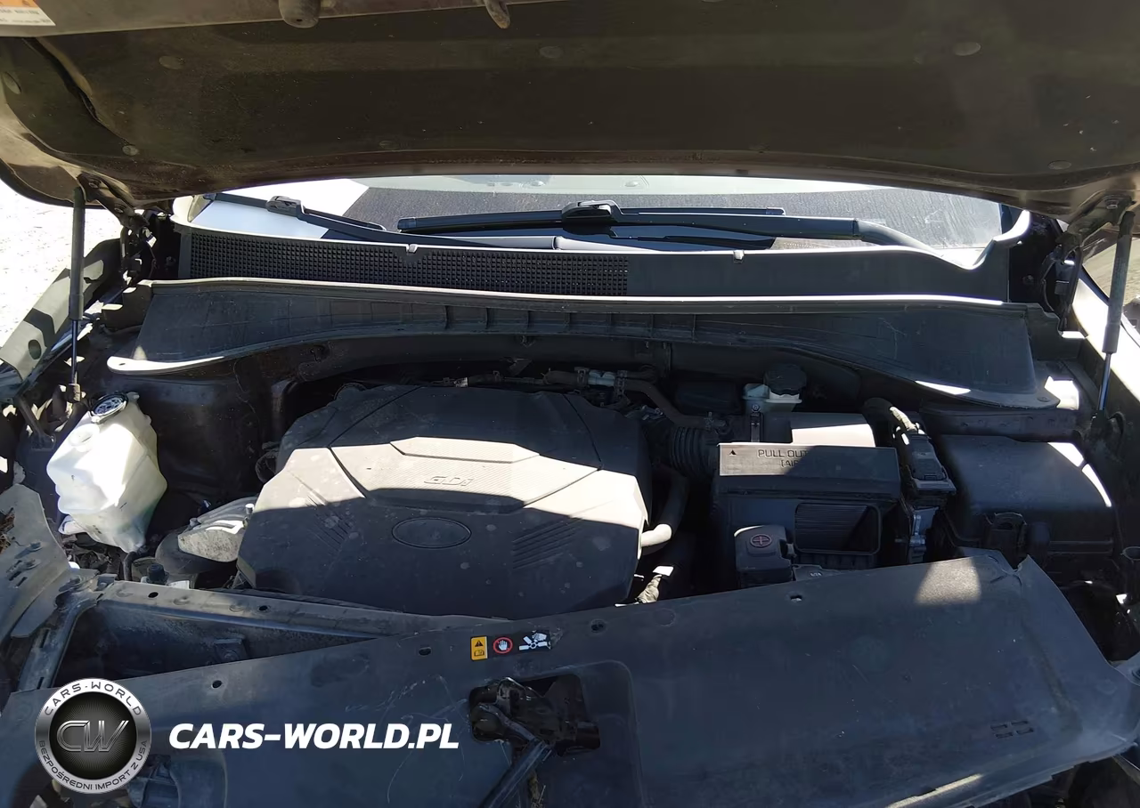 2019 Kia Sorento 3.3L Ex VIN:5XYPHDA54KG509367 - 10
