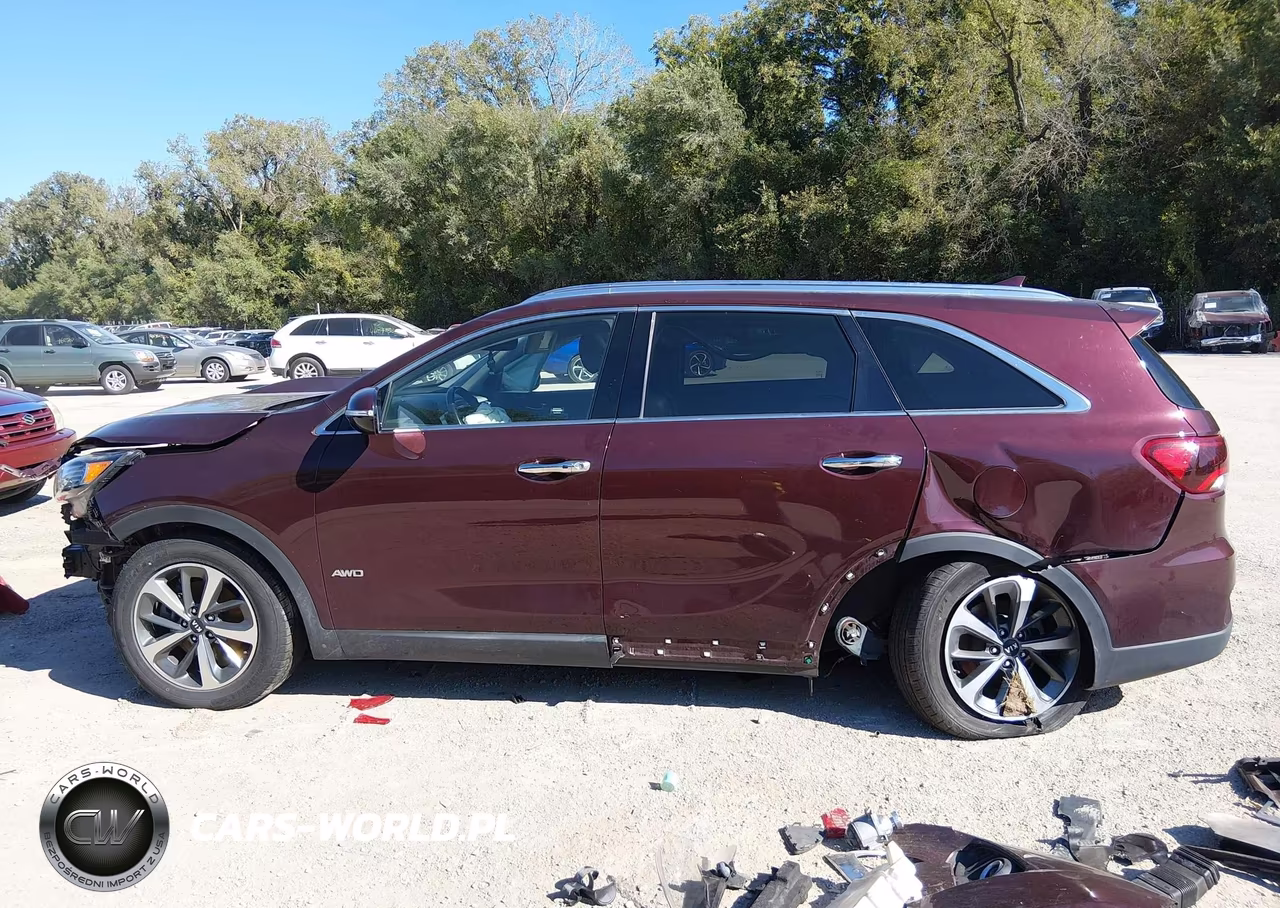 2019 Kia Sorento 3.3L Ex VIN:5XYPHDA54KG509367 - 15