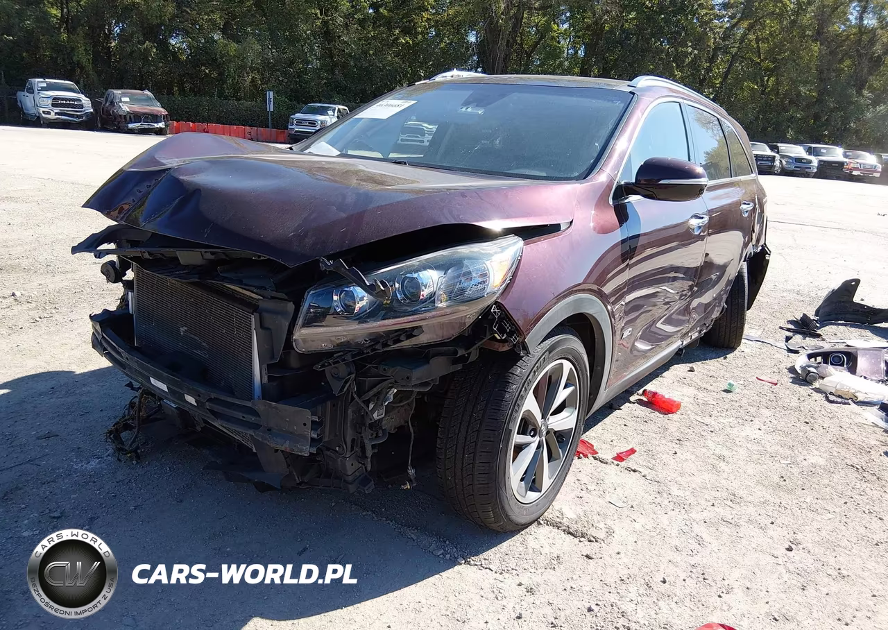 2019 Kia Sorento 3.3L Ex VIN:5XYPHDA54KG509367 - 2
