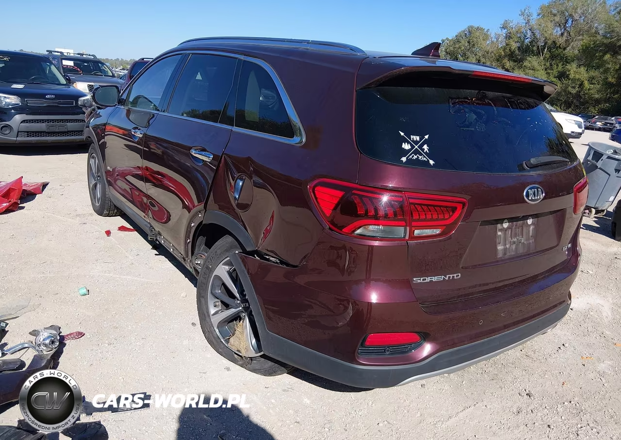 2019 Kia Sorento 3.3L Ex VIN:5XYPHDA54KG509367 - 3