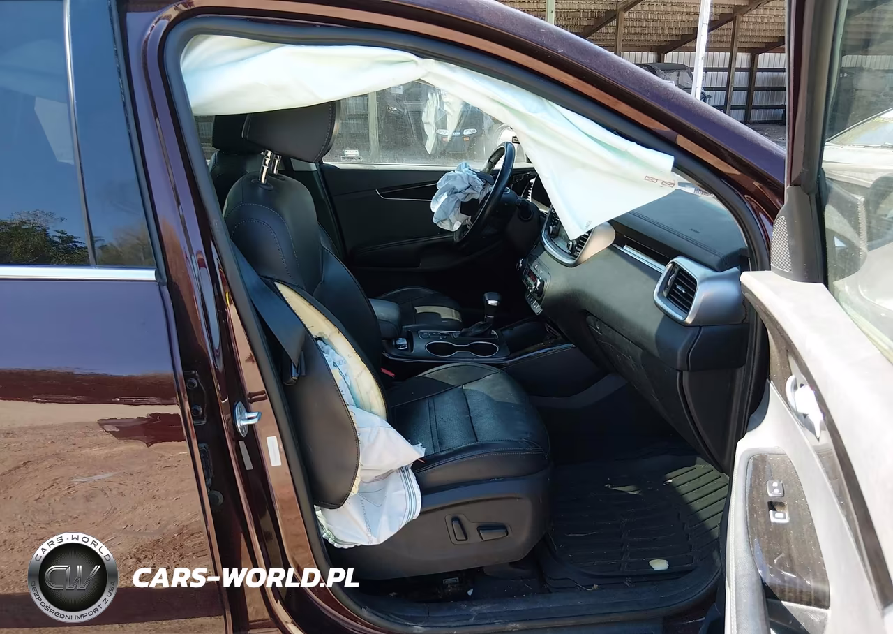 2019 Kia Sorento 3.3L Ex VIN:5XYPHDA54KG509367 - 5