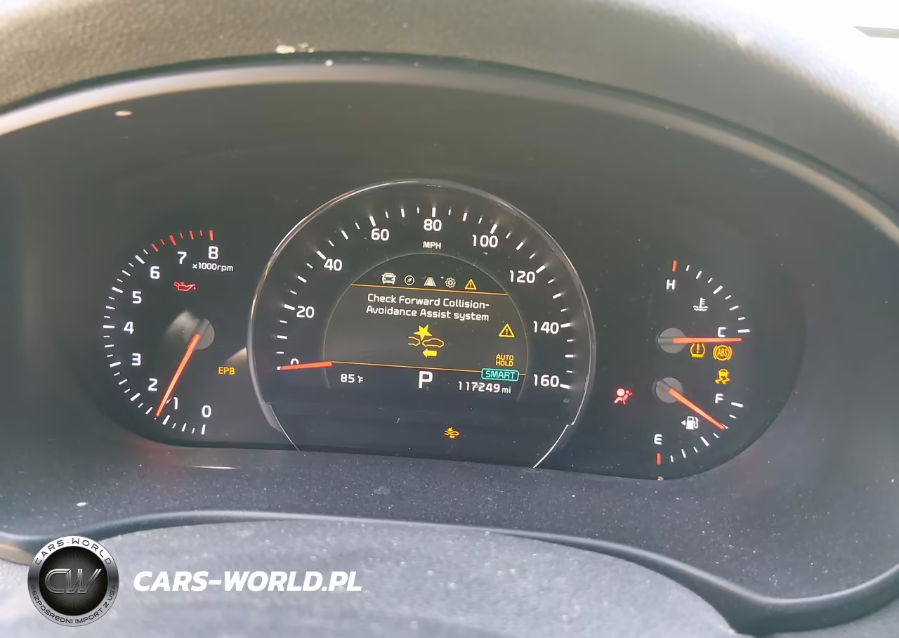 2019 Kia Sorento 3.3L Ex VIN:5XYPHDA54KG509367 - 7