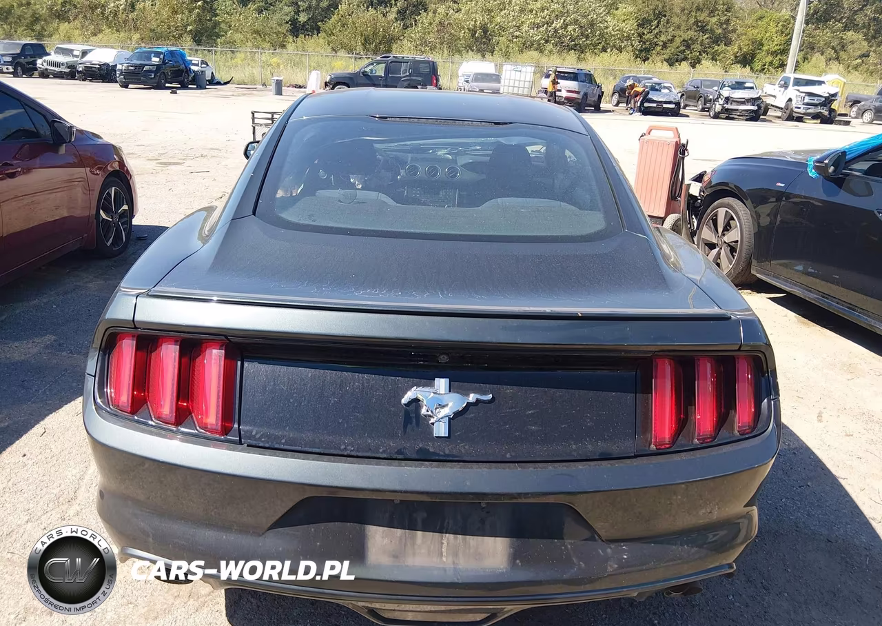 2016 Ford Mustang V6 VIN:1FA6P8AM3G5240863 - 17