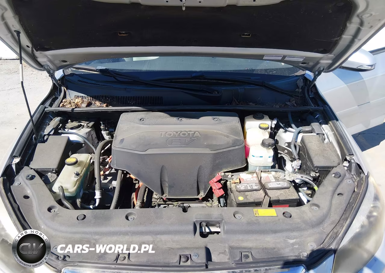2012 Toyota Rav4 Ev VIN:2T3YL4DV2CW001237 - 10