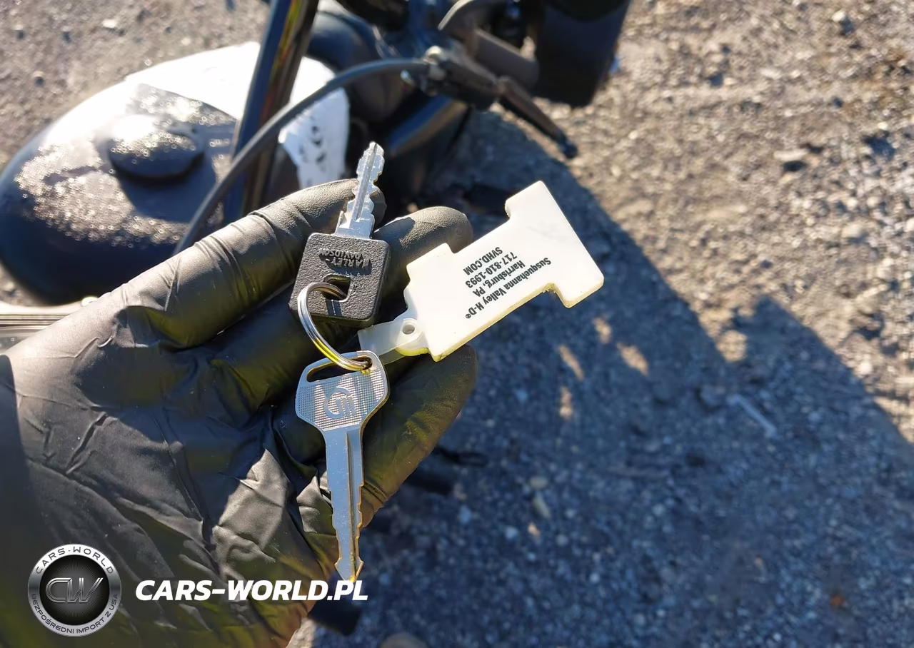 2019 Harley-Davidson Xl883 N VIN:1HD4LE219KC415149 - 11