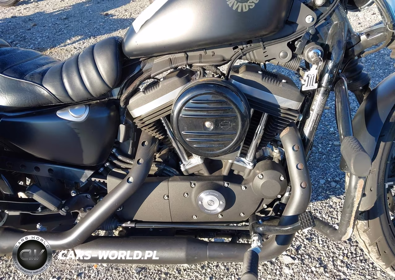 2019 Harley-Davidson Xl883 N VIN:1HD4LE219KC415149 - 8