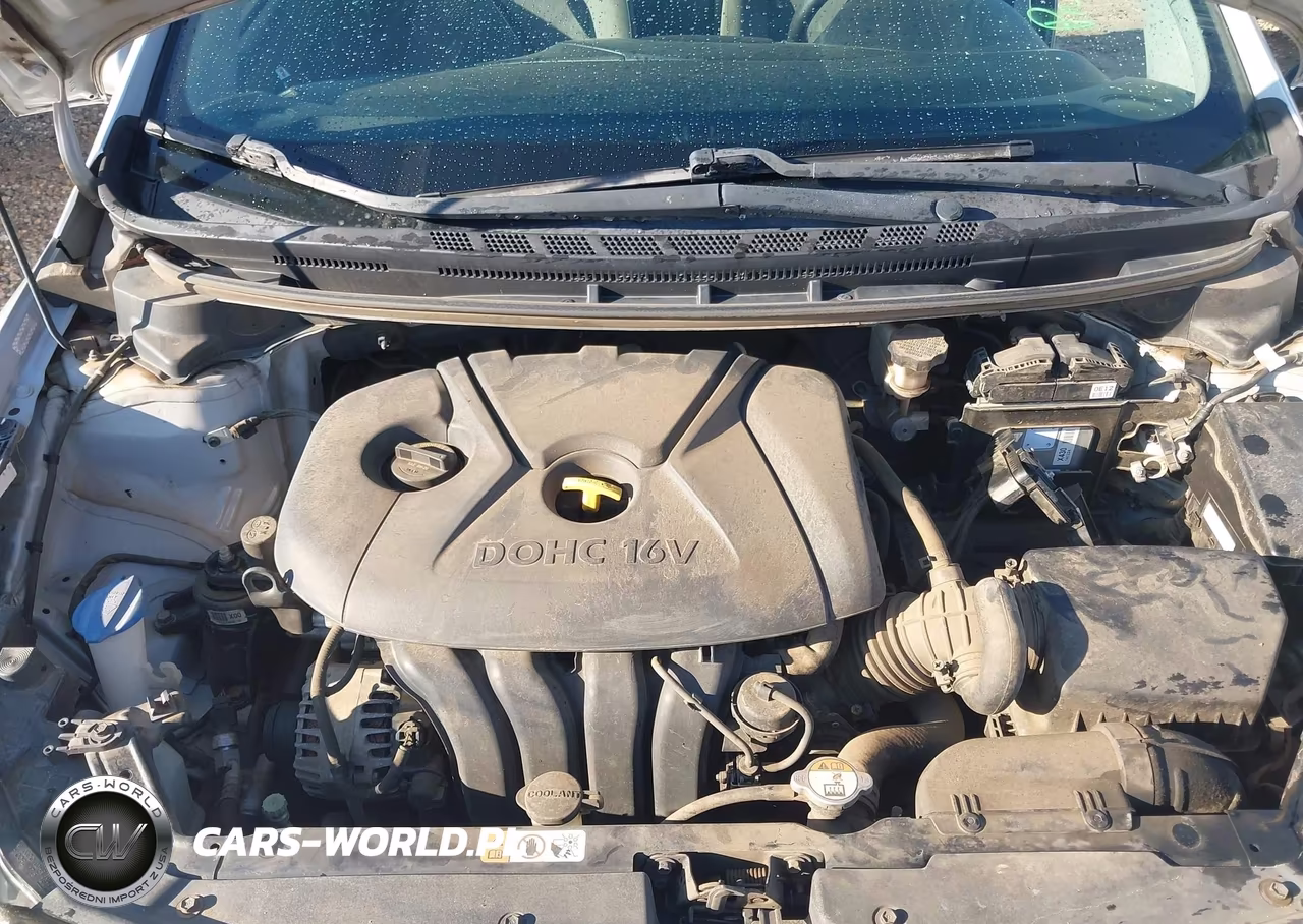 2015 Kia Forte Lx VIN:KNAFK4A69F5389325 - 10