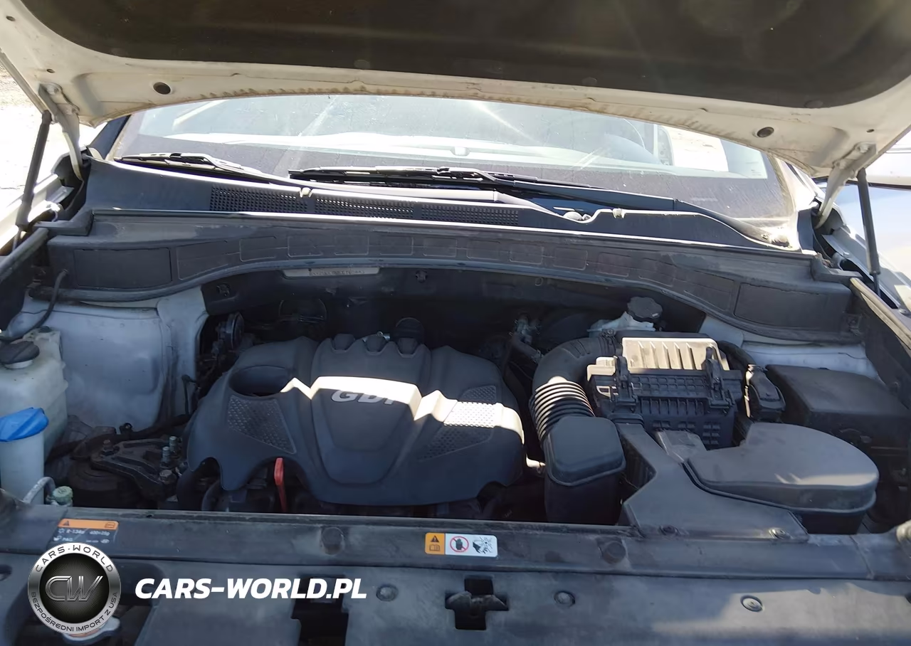 2014 Hyundai Santa Fe Sport 2.4L VIN:5XYZUDLB0EG185443 - 10
