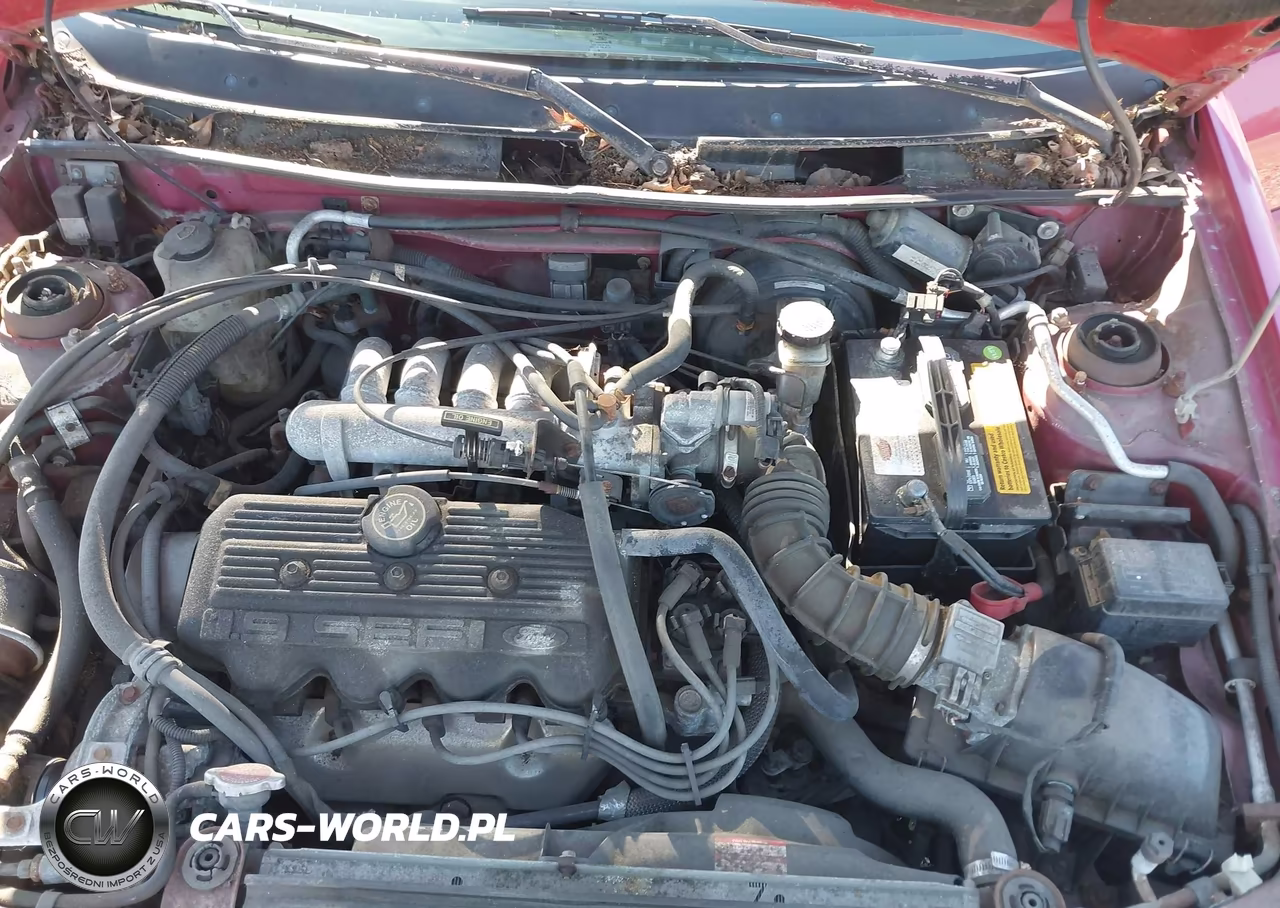 1995 Ford Escort Lx-Sport VIN:1FASP14J7SW336408 - 10
