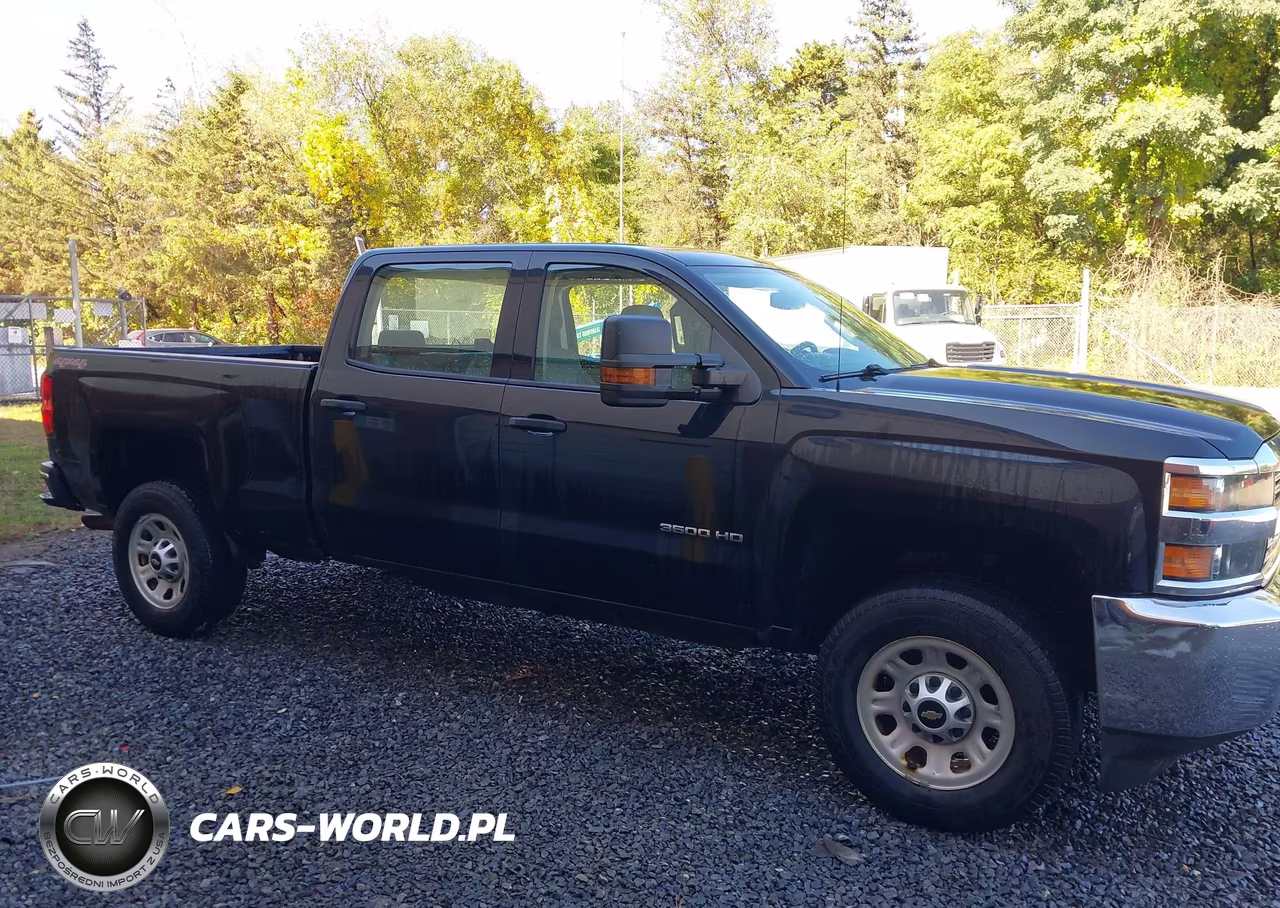 2017 Chevrolet Silverado 3500Hd Wt VIN:1GC4KYCG7HF193811 - 16