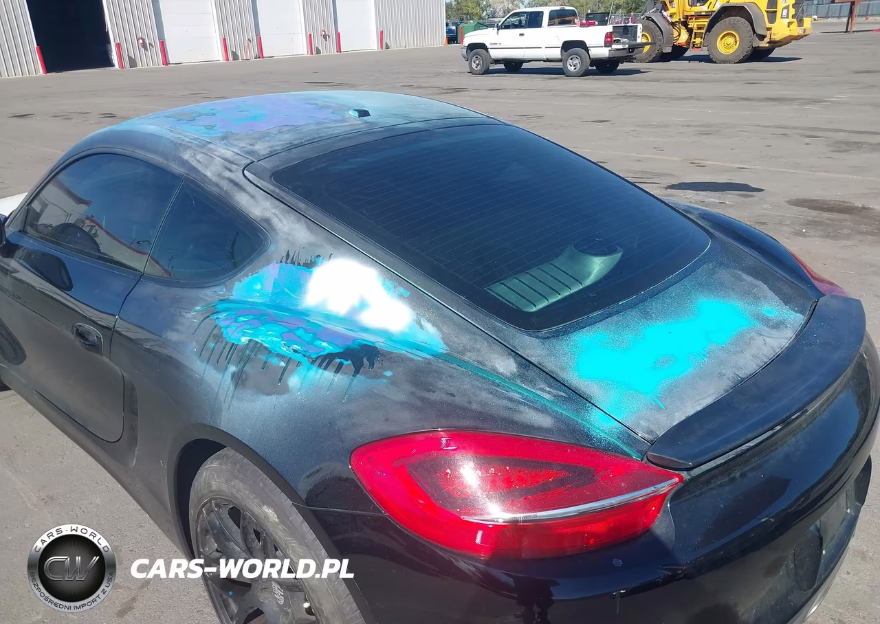 2014 Porsche Cayman VIN:WP0AA2A87EK173477 - 6