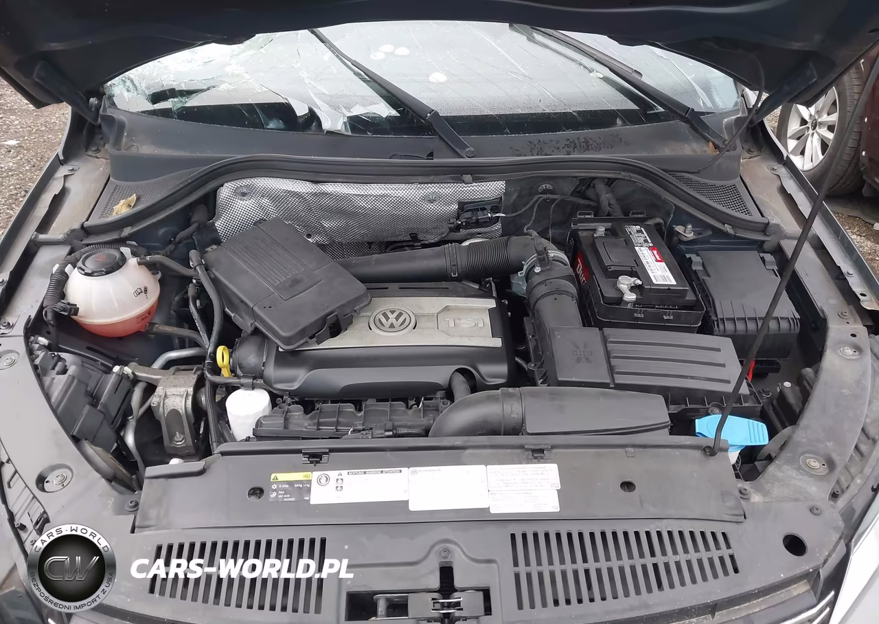 2017 Volkswagen Tiguan 2.0T-2.0T S VIN:WVGBV7AX6HK042408 - 10