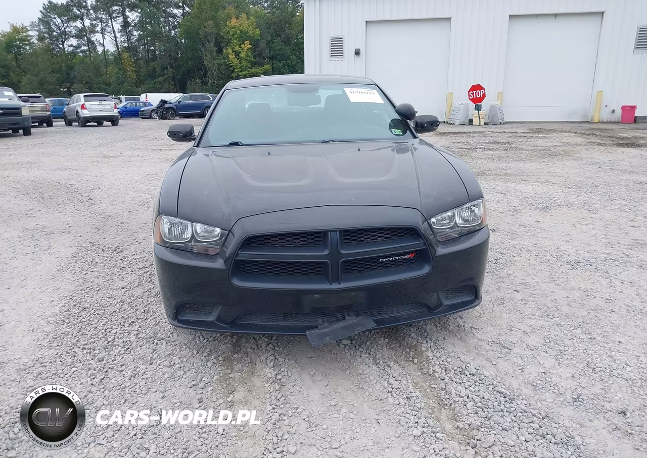 2014 Dodge Charger Police VIN:2C3CDXAT8EH125810 - 12