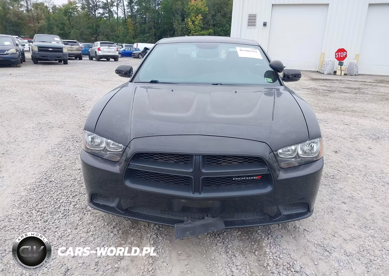 2014 Dodge Charger Police VIN:2C3CDXAT8EH125810 - 6
