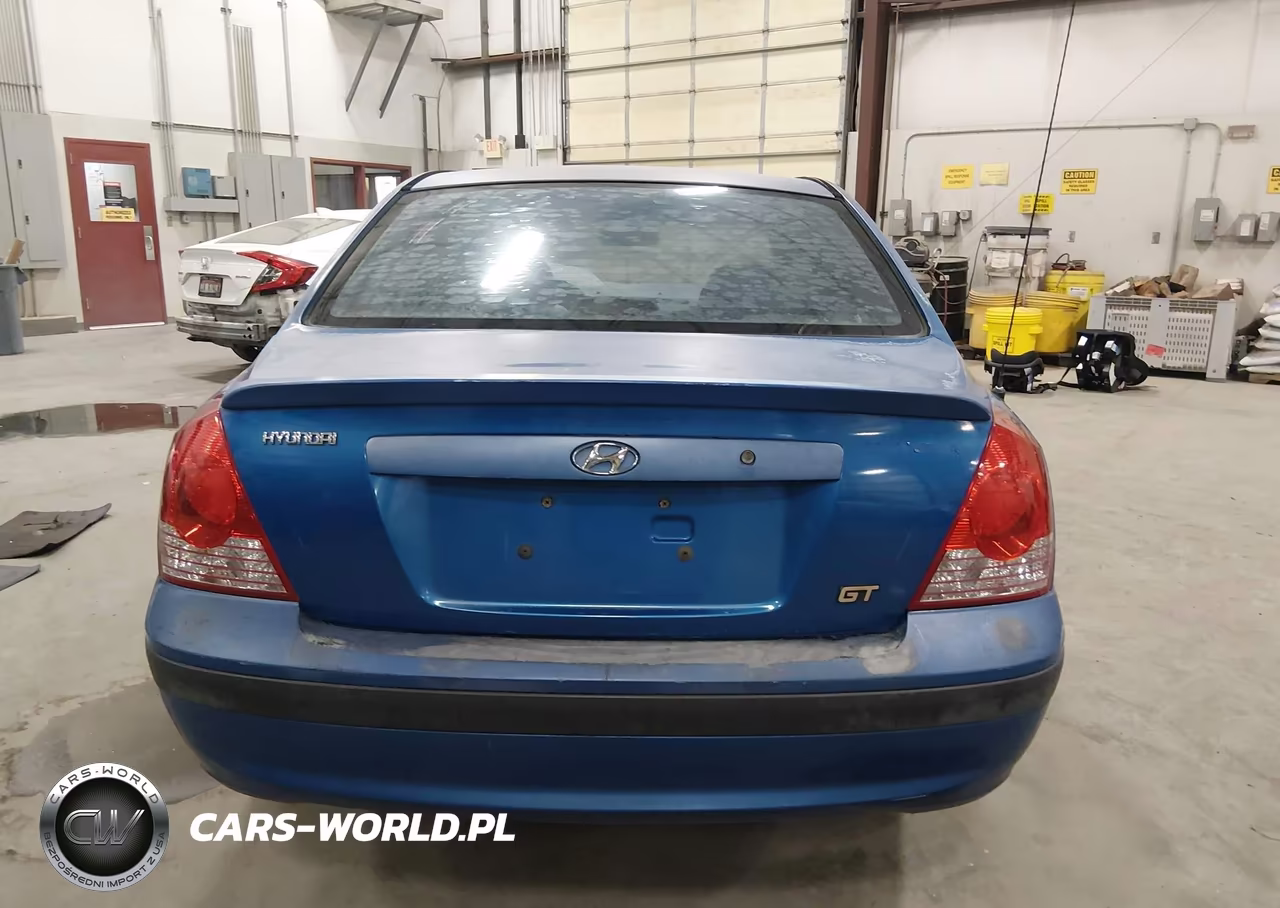 2005 Hyundai Elantra Gls-Gt VIN:KMHDN46D45U934579 - 16