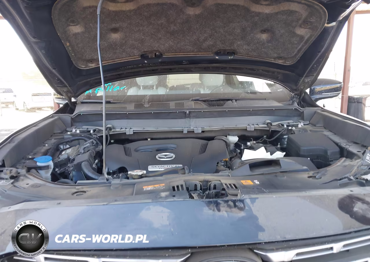 2023 Mazda Cx-9 Signature VIN:JM3TCBEY8P0655605 - 10