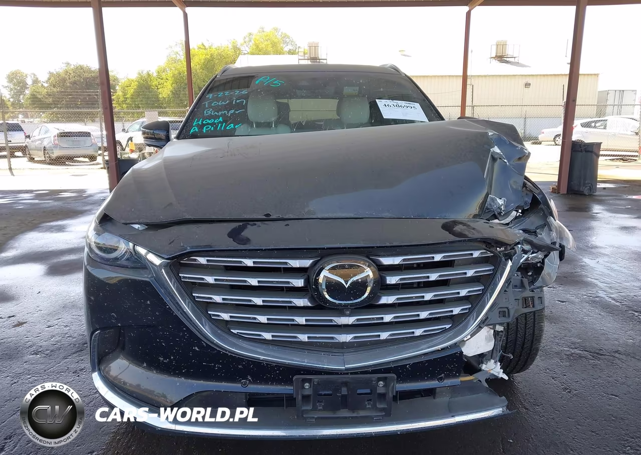2023 Mazda Cx-9 Signature VIN:JM3TCBEY8P0655605 - 12