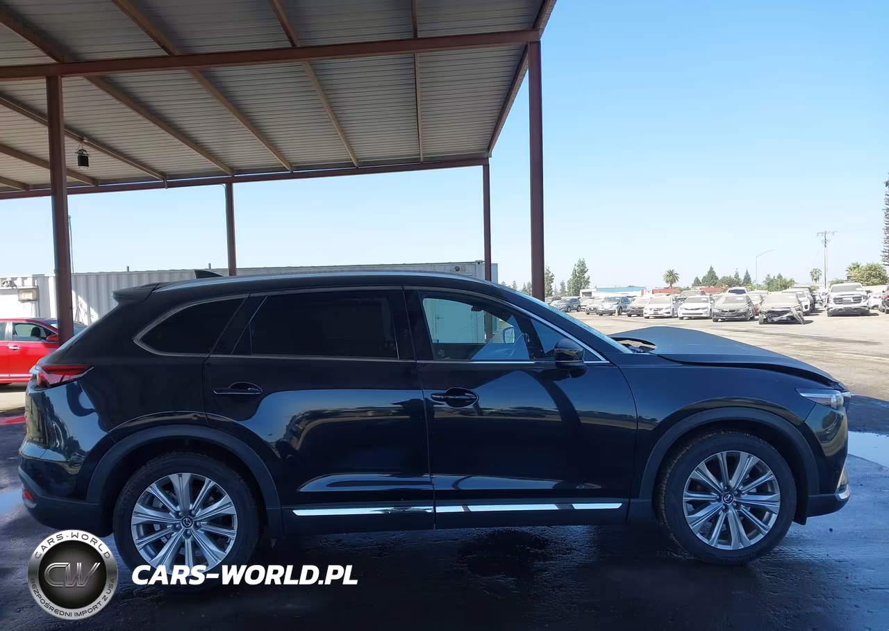 2023 Mazda Cx-9 Signature VIN:JM3TCBEY8P0655605 - 13