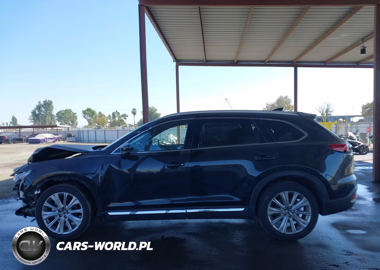 2023 Mazda Cx-9 Signature VIN:JM3TCBEY8P0655605 - 14