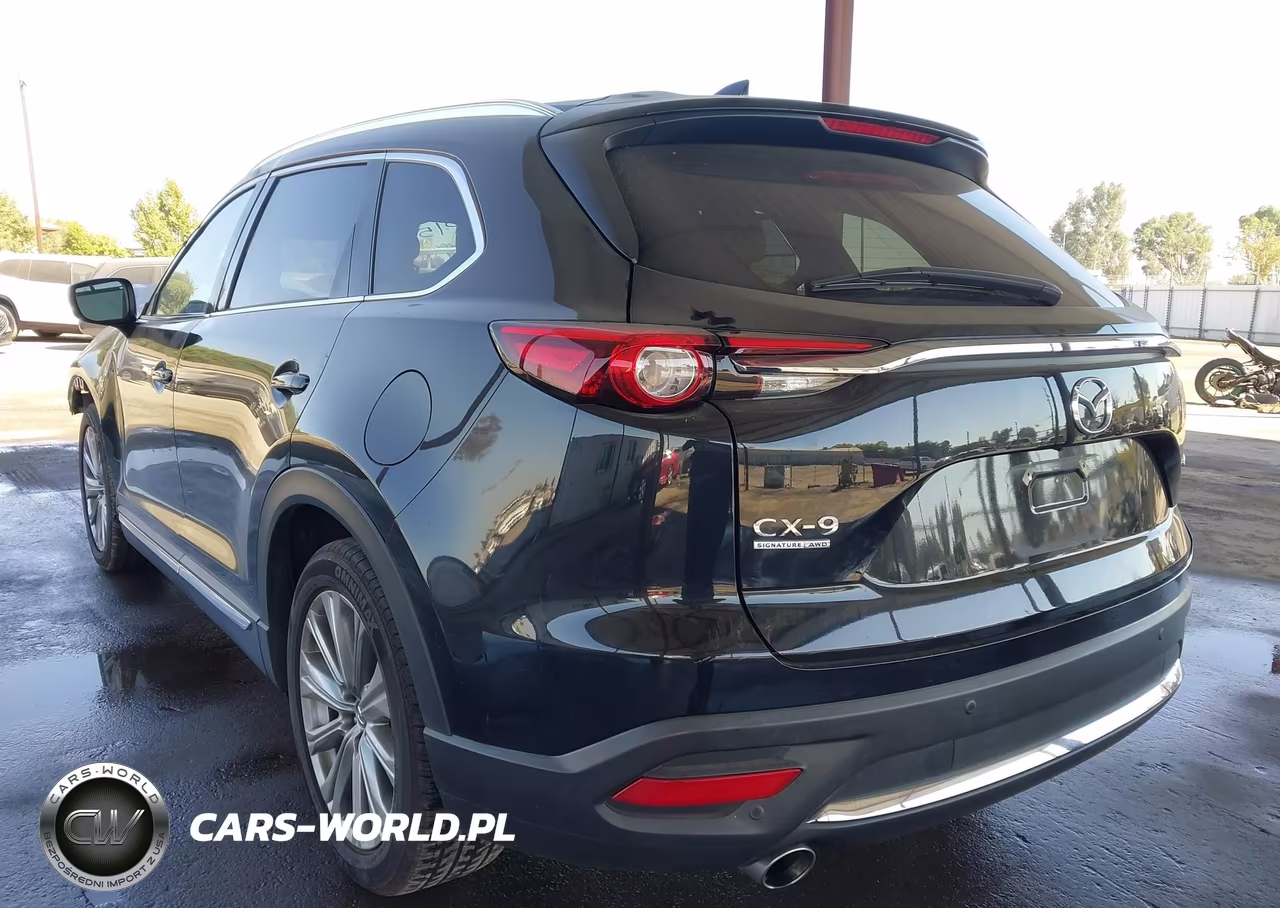 2023 Mazda Cx-9 Signature VIN:JM3TCBEY8P0655605 - 3