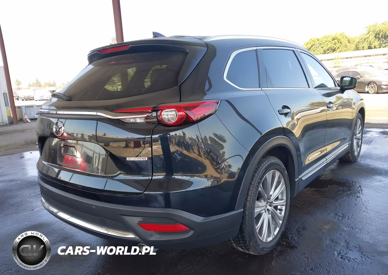 2023 Mazda Cx-9 Signature VIN:JM3TCBEY8P0655605 - 4