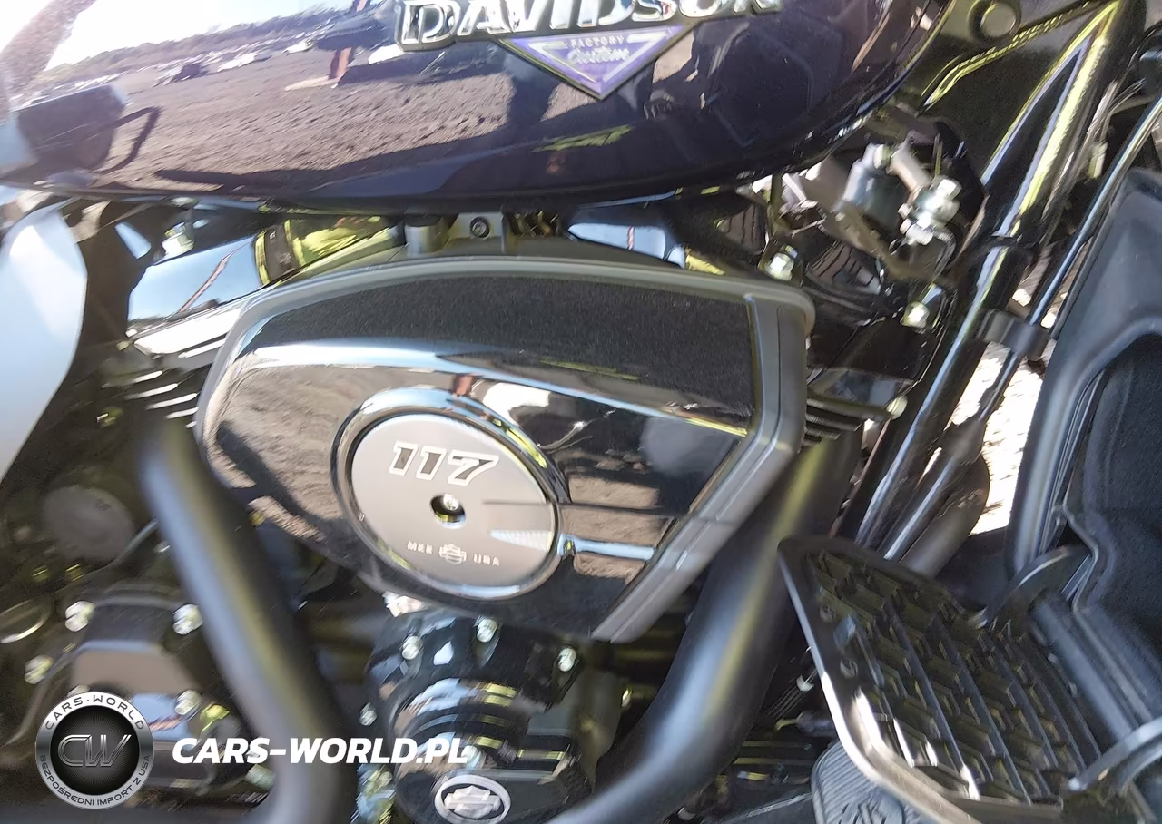 2025 Harley-Davidson Flhxu VIN:1HD1AK715SB615905 - 8
